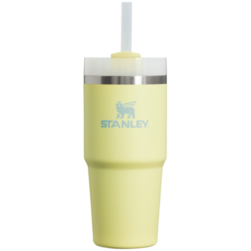 , Stanley The Quencher H2.O FlowState Tumbler | 17 oz